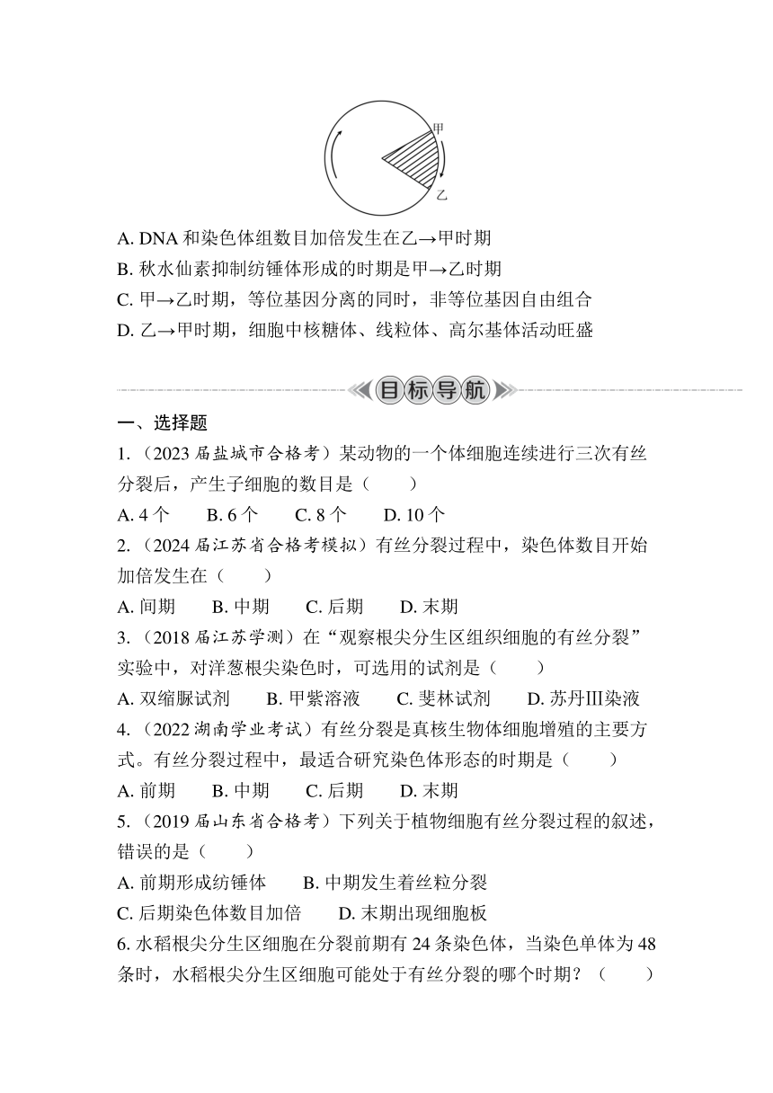 第13课时　细胞增殖 复习学案（含答案）2024年江苏省普通高中学业水平合格性生物考试