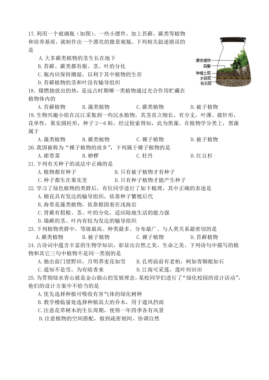 河北省唐山市迁安市2023-2024学年七年级上学期期中生物试题（含答案）