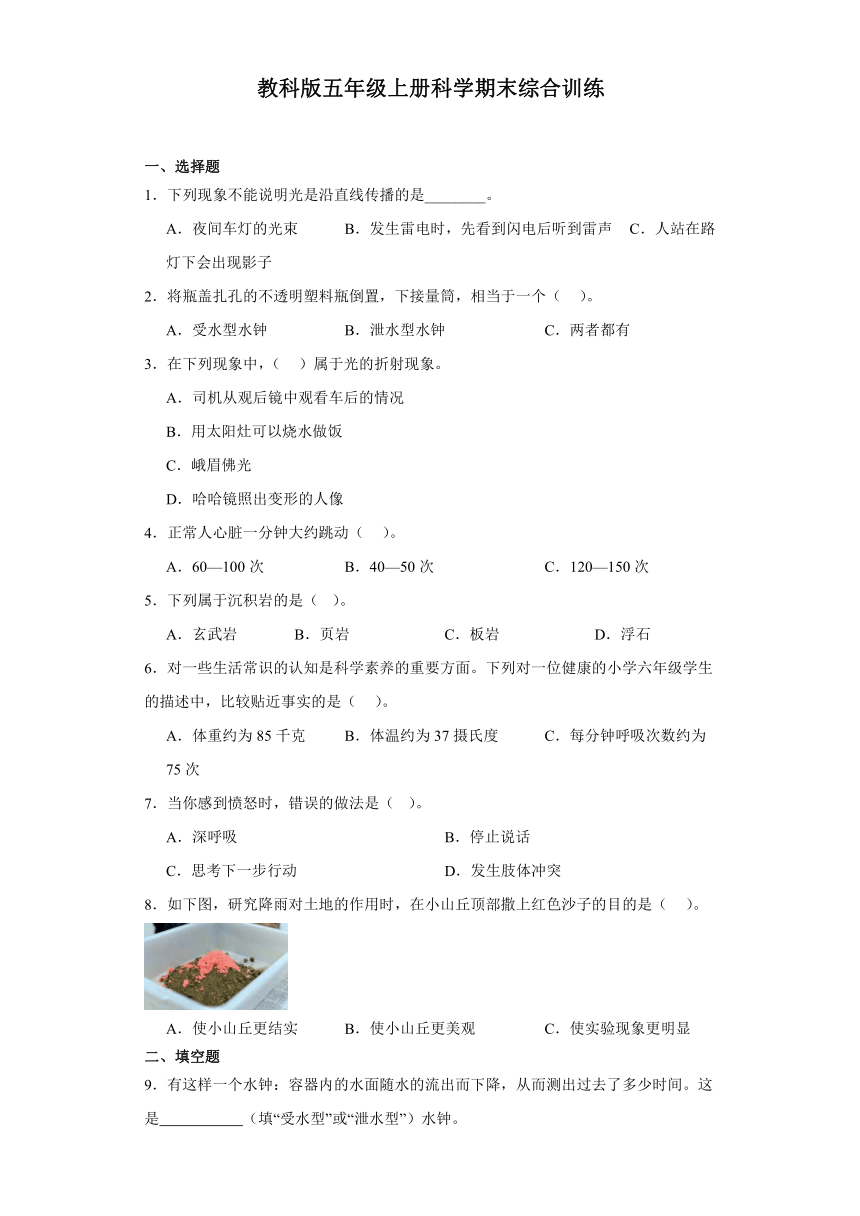 教科版五年级上册科学期末综合训练（含答案 ）