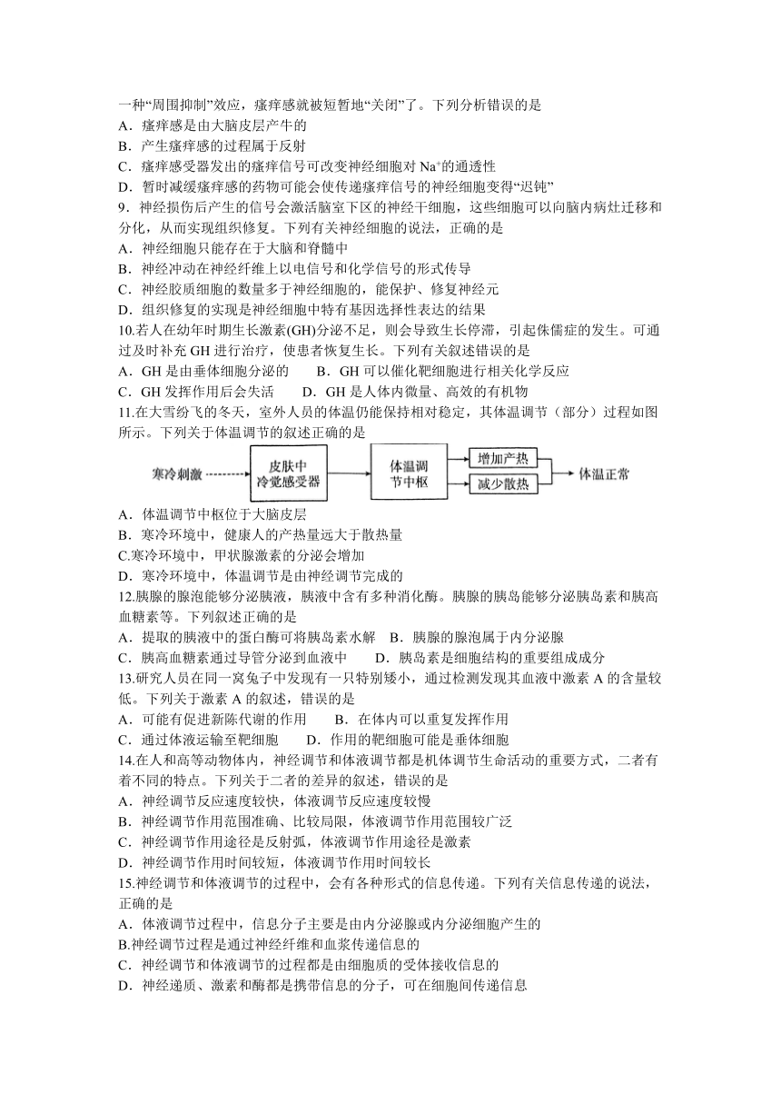 吉林省松原市前郭尔罗斯蒙古族自治县第五高级中学2023~2024学年高二上学期期中考试生物试题（含答案）