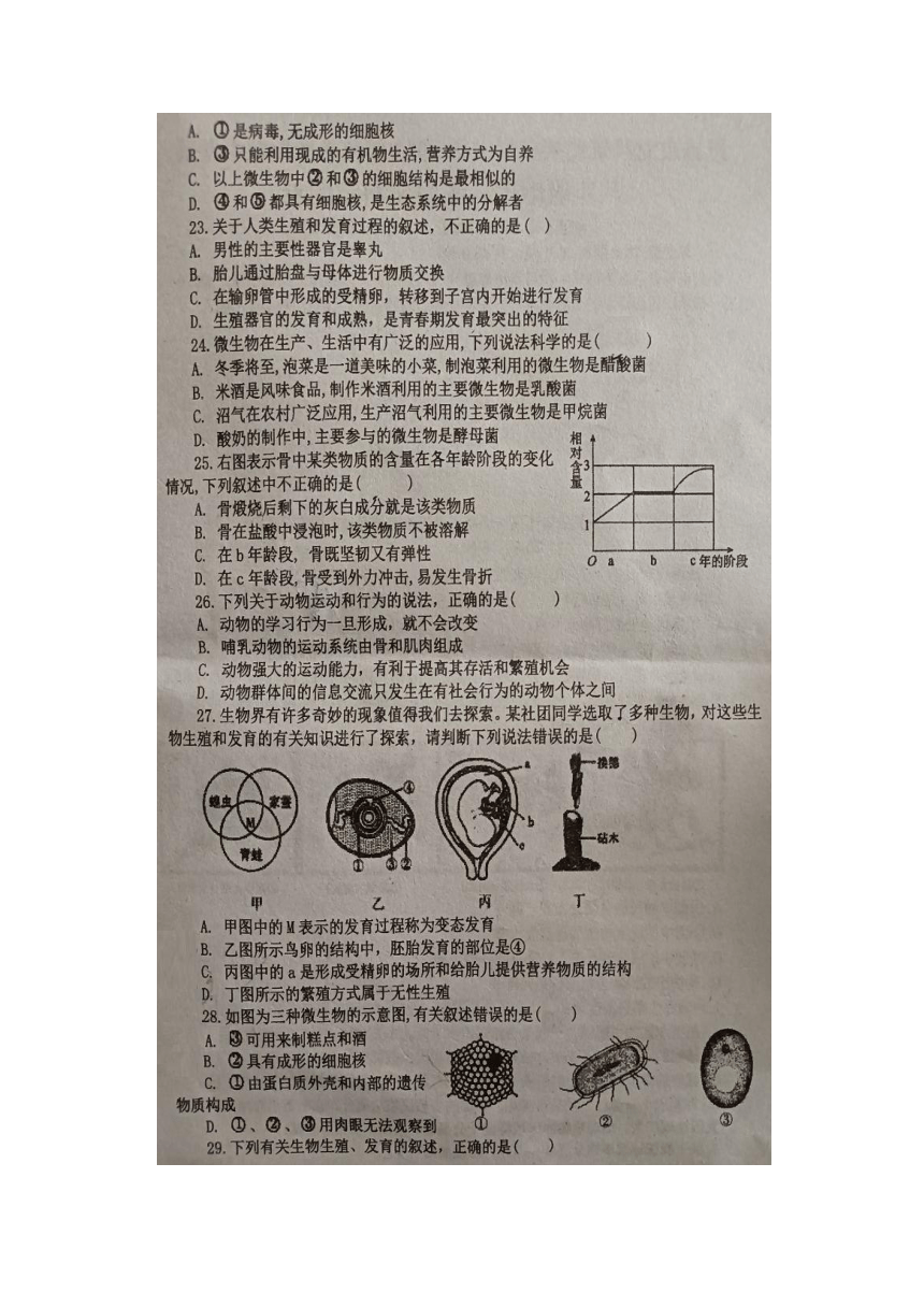 湖北省恩施州恩施市龙凤镇民族初级中学2023-2024学年秋八年级地理生物期中试题(图片版无答案）