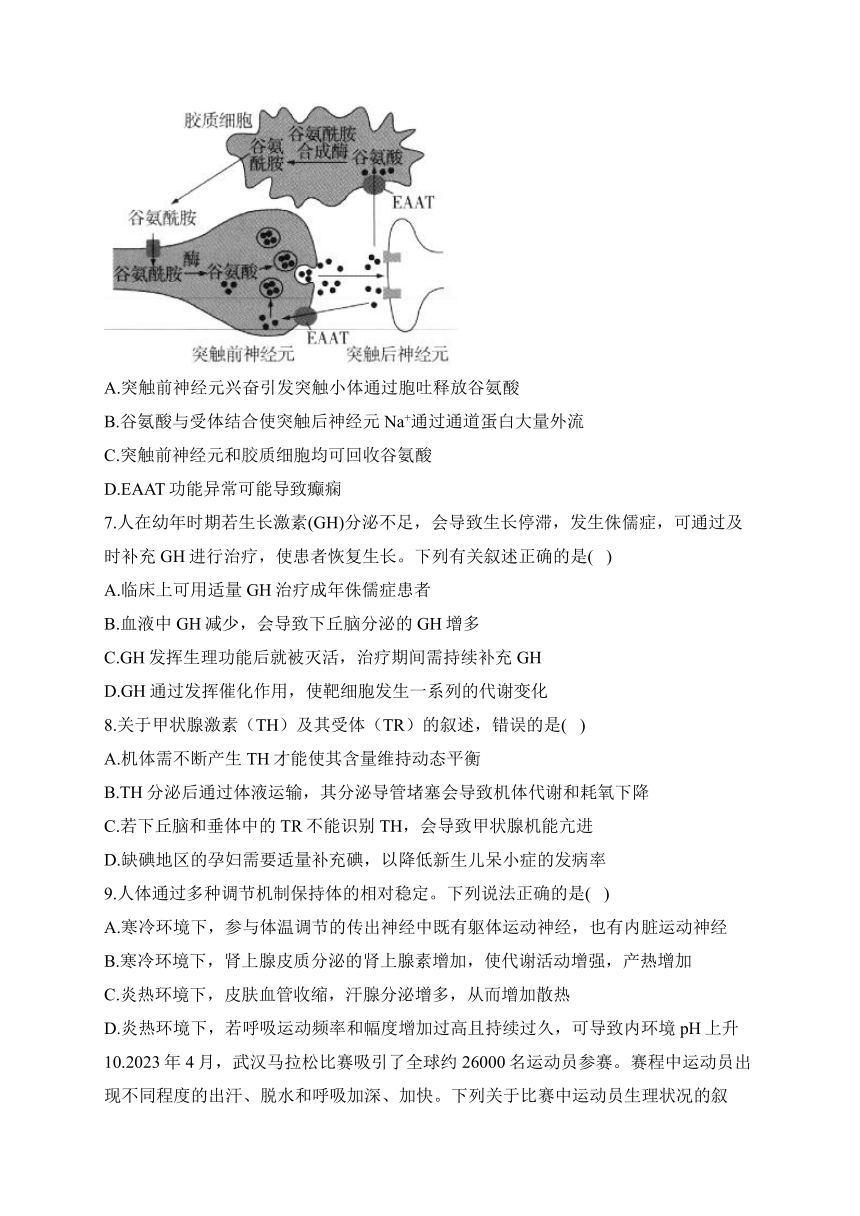 人体生命活动的调节——2024届高考一轮复习经典试题集中训练（含解析）