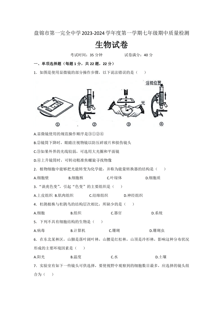 2023-2024学年辽宁省盘锦市第一完全中学七年级（上）期中考试生物试卷（含答案）