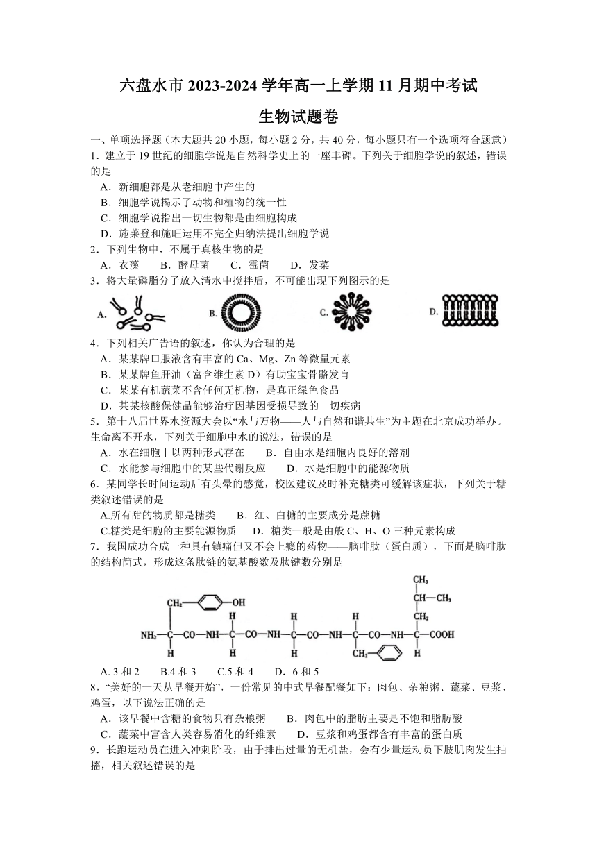 贵州省六盘水市2023-2024学年高一上学期11月期中考试生物学试题（含答案）