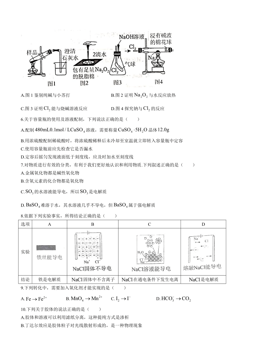 陕西省渭南市2023-2024学年高一上学期11月期中考试化学试题（含答案）