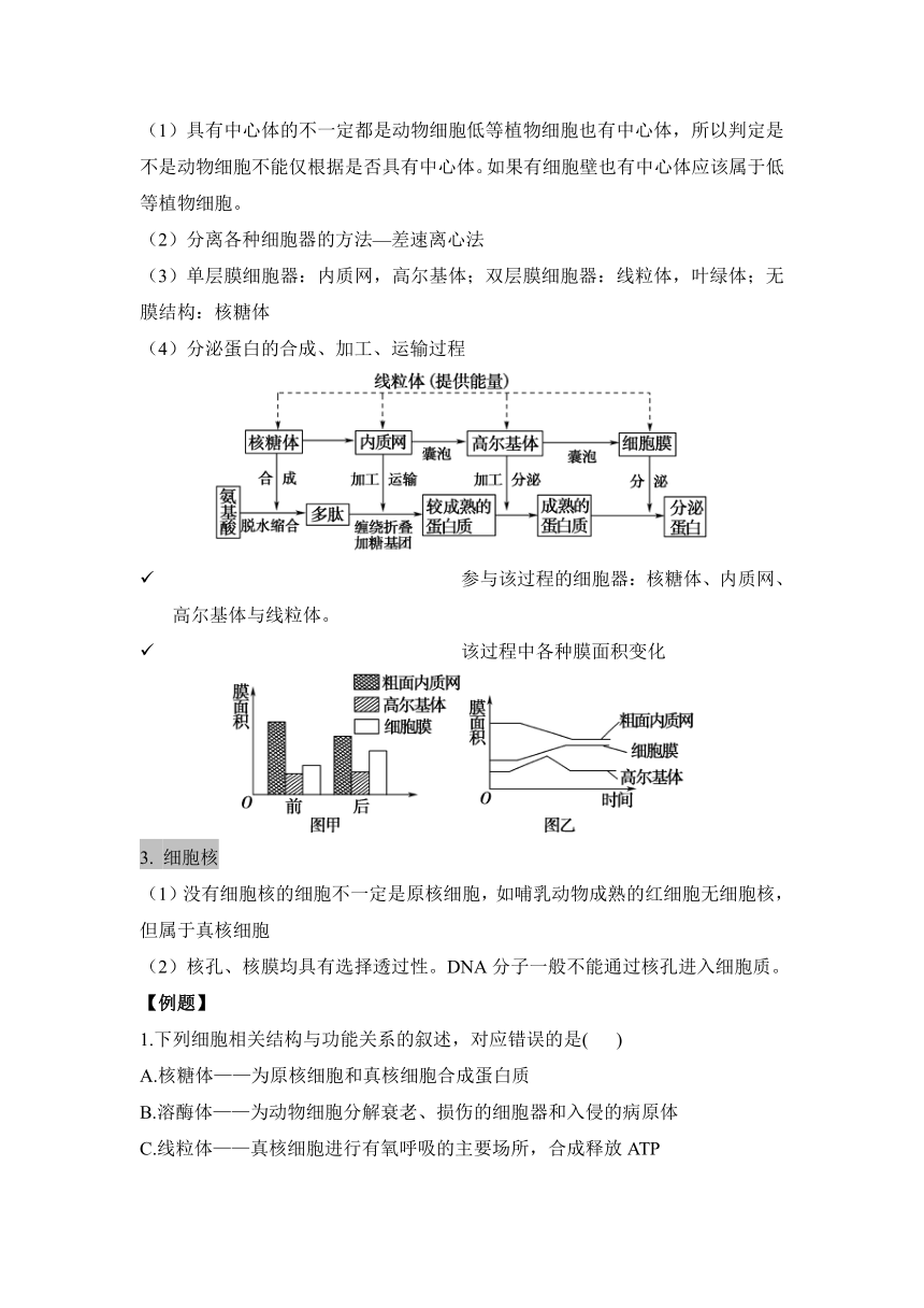 第3章 细胞的基本结构必修一期末复习敲重点（含解析）2023