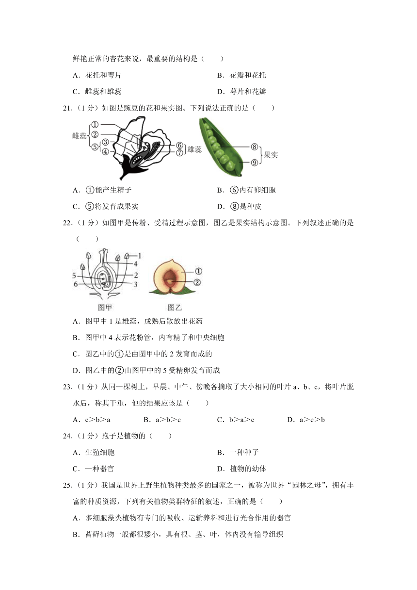 2023-2024学年山东省青岛市胶州市洋河中学七年级上学期第二次月考生物试卷（含解析）