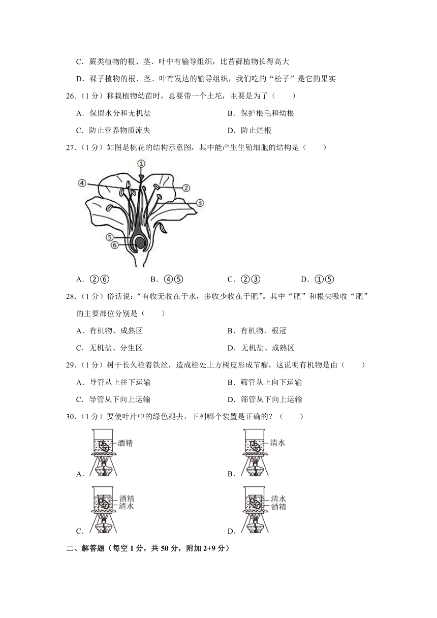 2023-2024学年山东省青岛市胶州市洋河中学七年级上学期第二次月考生物试卷（含解析）