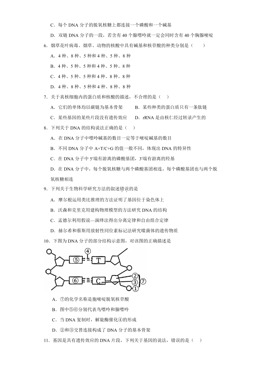 1.2核酸的分子结构 练习（解析版）