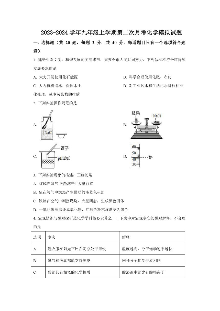 江苏苏州地区2023-2024学年九年级上学期第二次月考模拟化学试题（无答案）