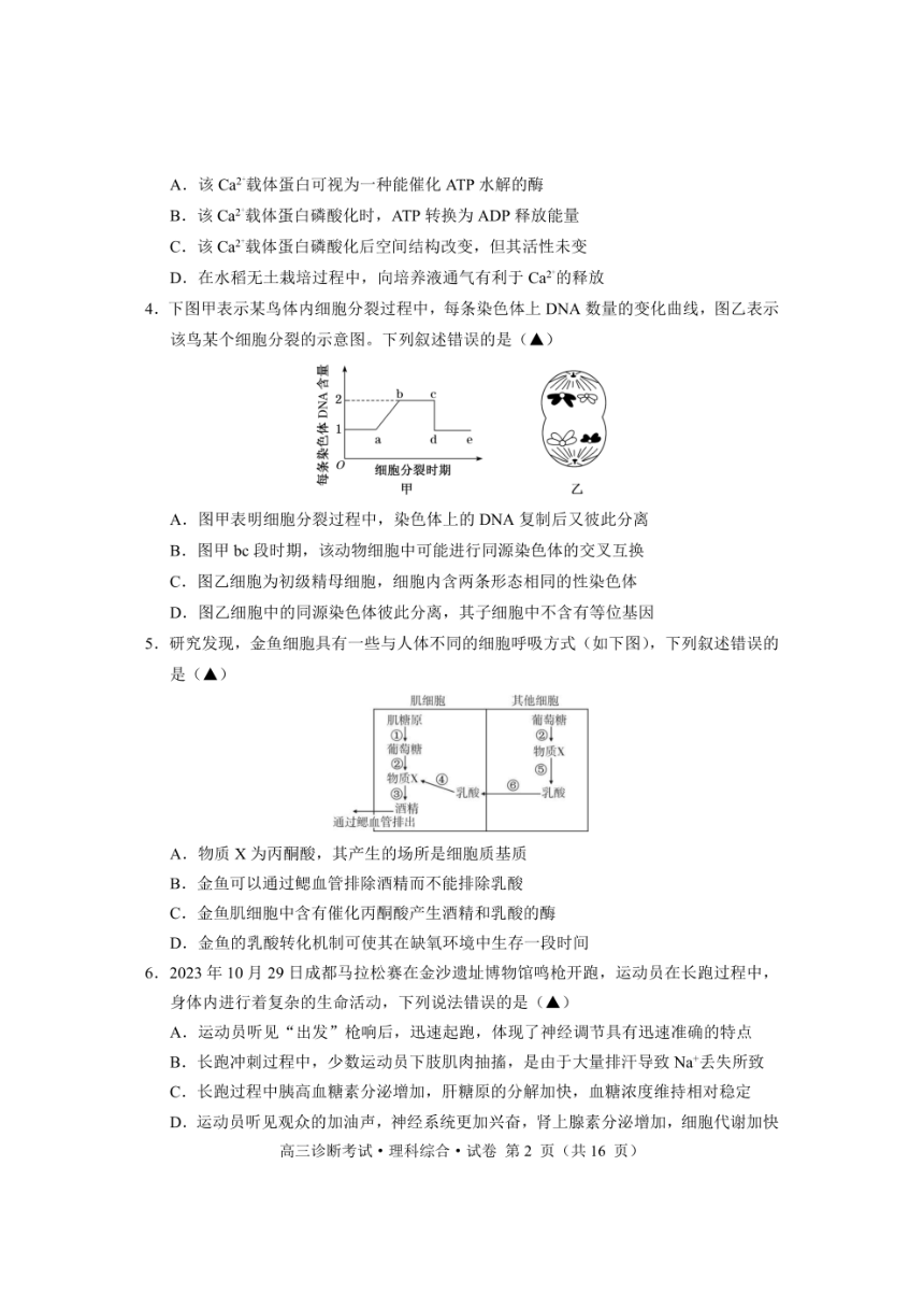 四川省甘孜州2024届高三上学期第一次诊断考试理综试卷（PDF版含答案）