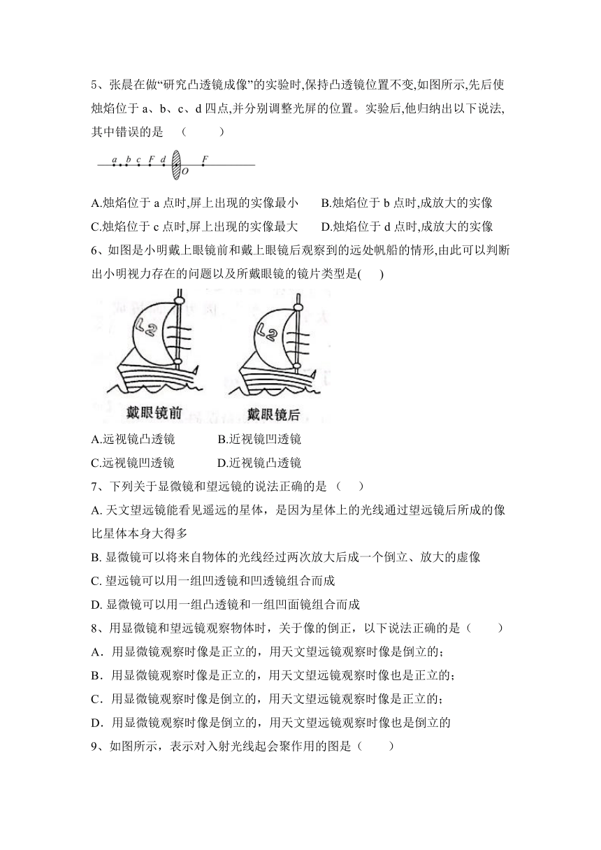 第5章 透镜及其应用 期末复习（含答案）2023—2024学年人教物理八年级上册