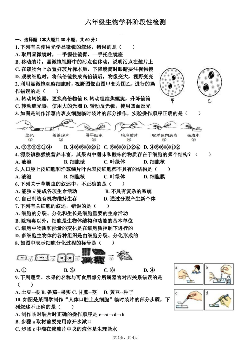 山东省东营市广饶县乐安街道乐安中学2023-2024学年六年级上册12月月考生物试题（PDF版无答案）