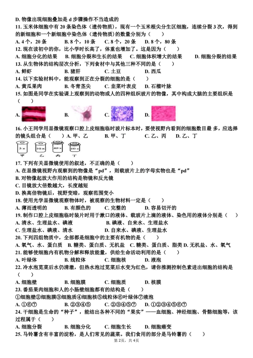 山东省东营市广饶县乐安街道乐安中学2023-2024学年六年级上册12月月考生物试题（PDF版无答案）