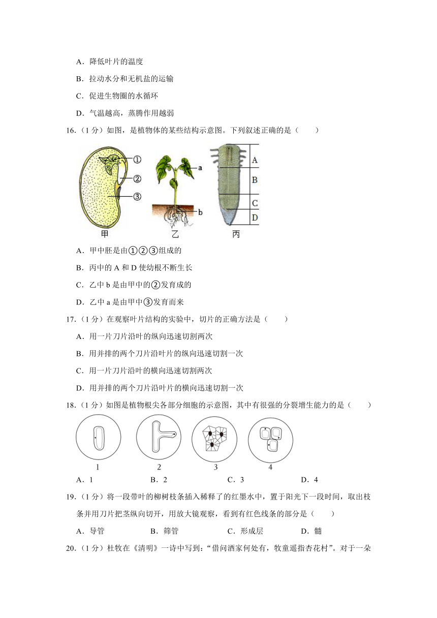 2023-2024学年山东省青岛市胶州市洋河中学七年级上学期第二次月考生物试卷（含解析）