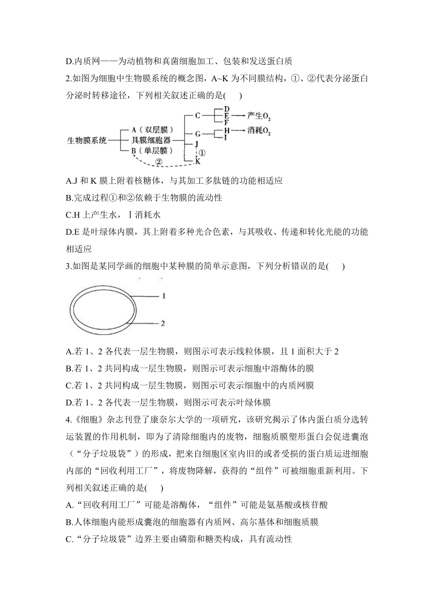 第3章 细胞的基本结构必修一期末复习敲重点（含解析）2023