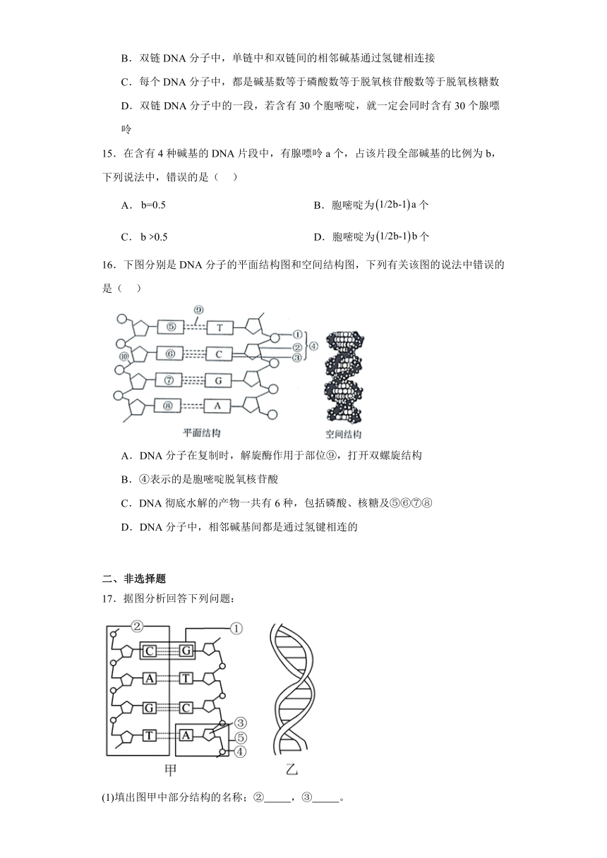 1.2核酸的分子结构 练习（解析版）