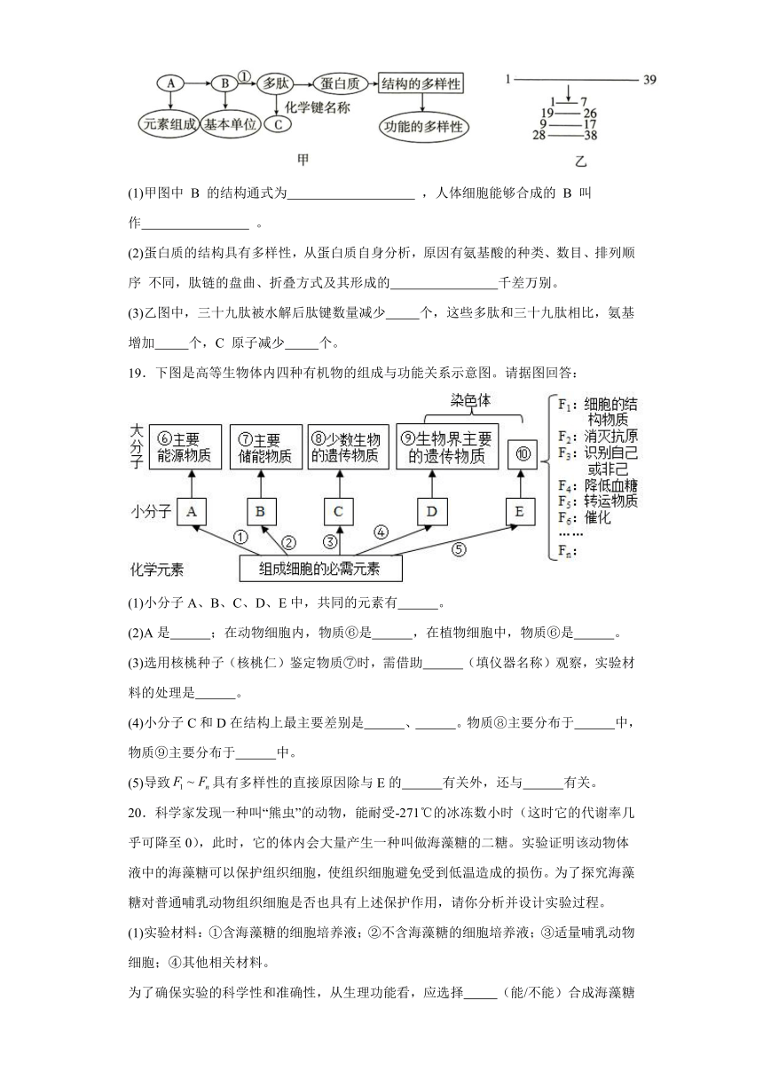 第一章 细胞的分子组成 测试卷(有解析)