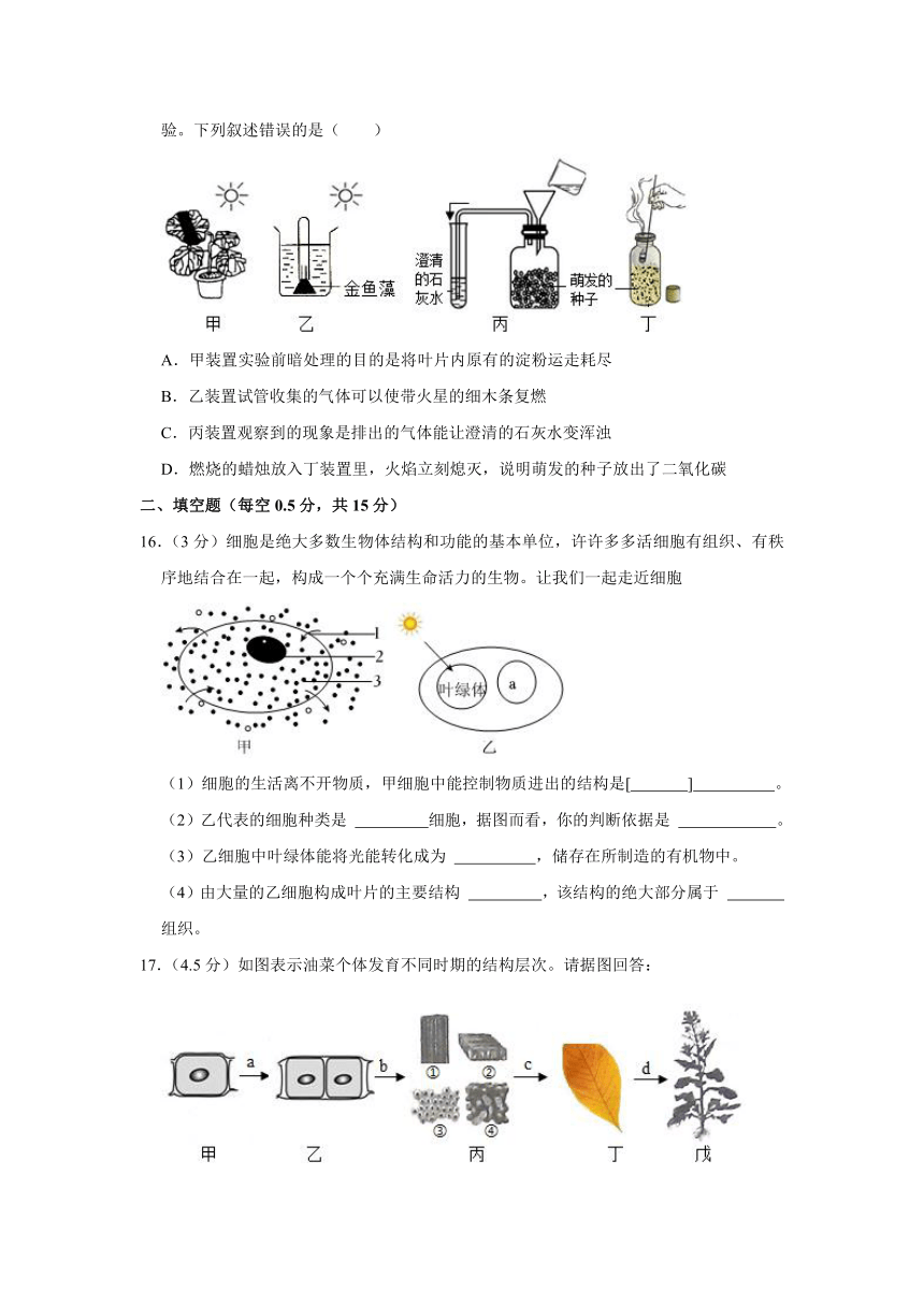 内蒙古呼伦贝尔市海拉尔区2023-2024学年七年级上学期期末生物试卷（含解析）