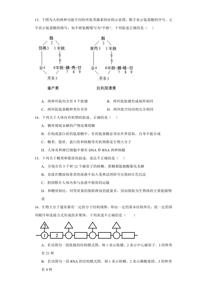 第一章 细胞的分子组成 测试卷(有解析)