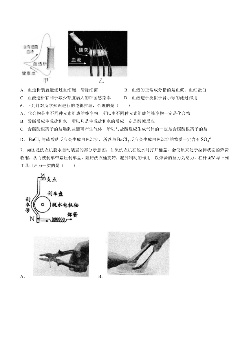 浙江省北京师范大学台州实验学校2023-2024学年九年级上学期期末模拟科学试题（含答案）