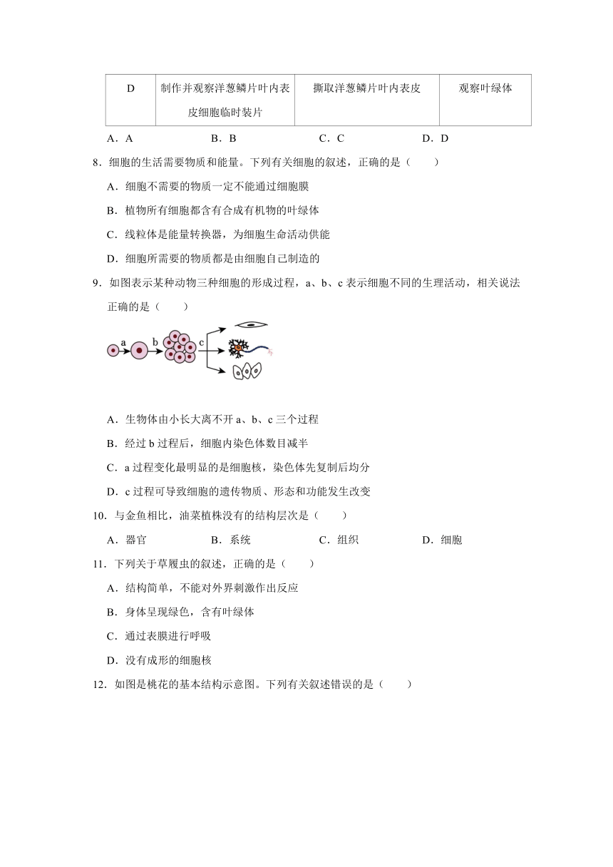 内蒙古呼伦贝尔市海拉尔区2023-2024学年七年级上学期期末生物试卷（含解析）