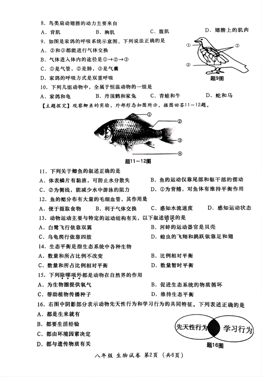 广东省汕头市金平区2023-2024学年八年级上学期期末生物试题（PDF版 无答案）