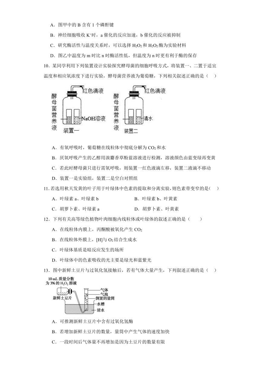 第三章 细胞中能量的转换和利用 检测练习（有解析）