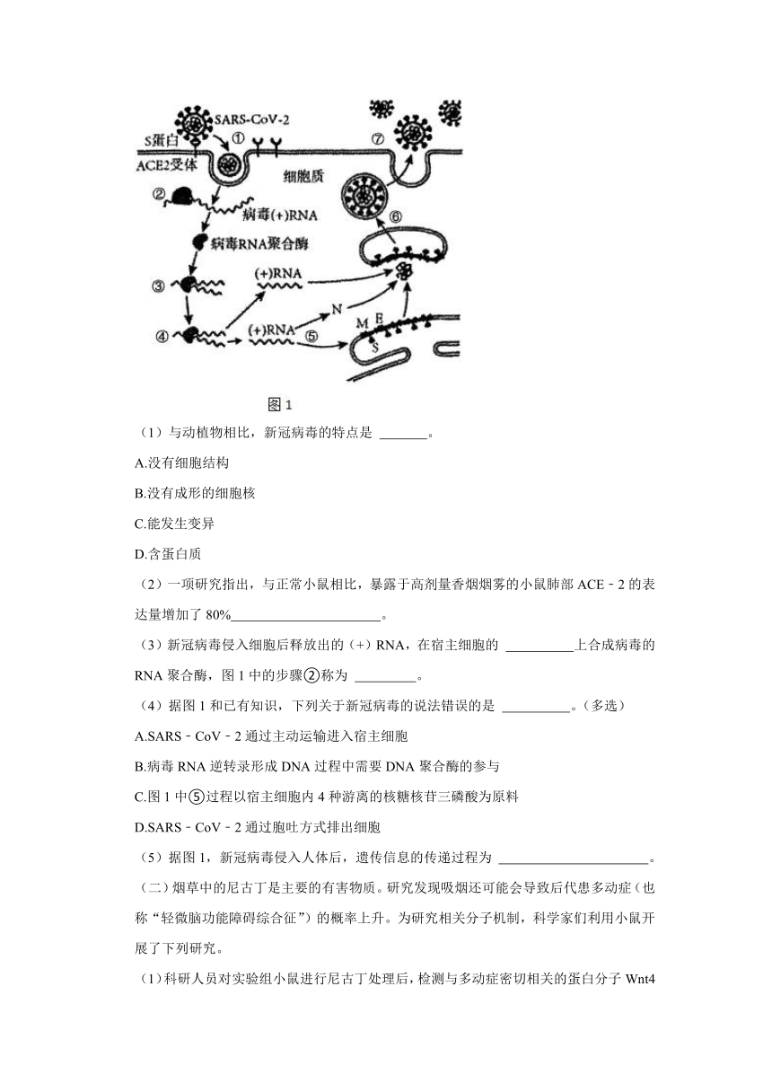 上海市复旦大学附属中学2023-2024学年高二上学期期中考试生物试题（含解析）