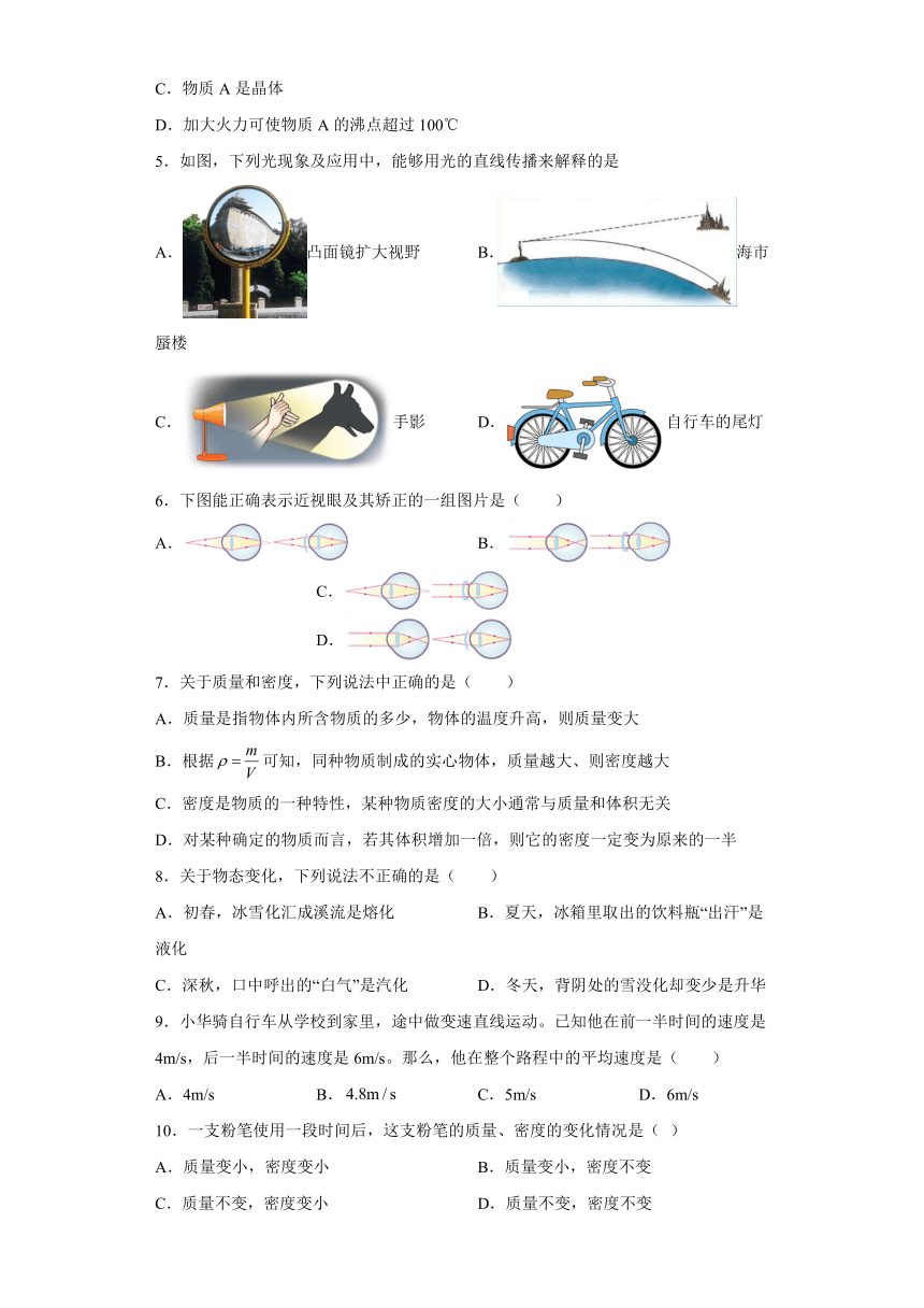 西藏拉萨市柳梧初级中学2023-2024学年八年级上学期期末考试物理试题（含解析）