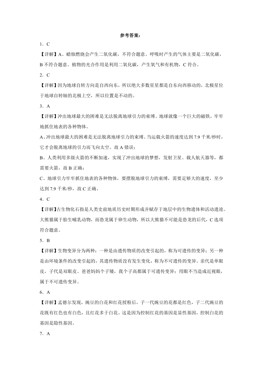 江苏省南京市2023-2024学年六年级上学期科学高频易错期末考前预测卷（苏教版）（含解析）