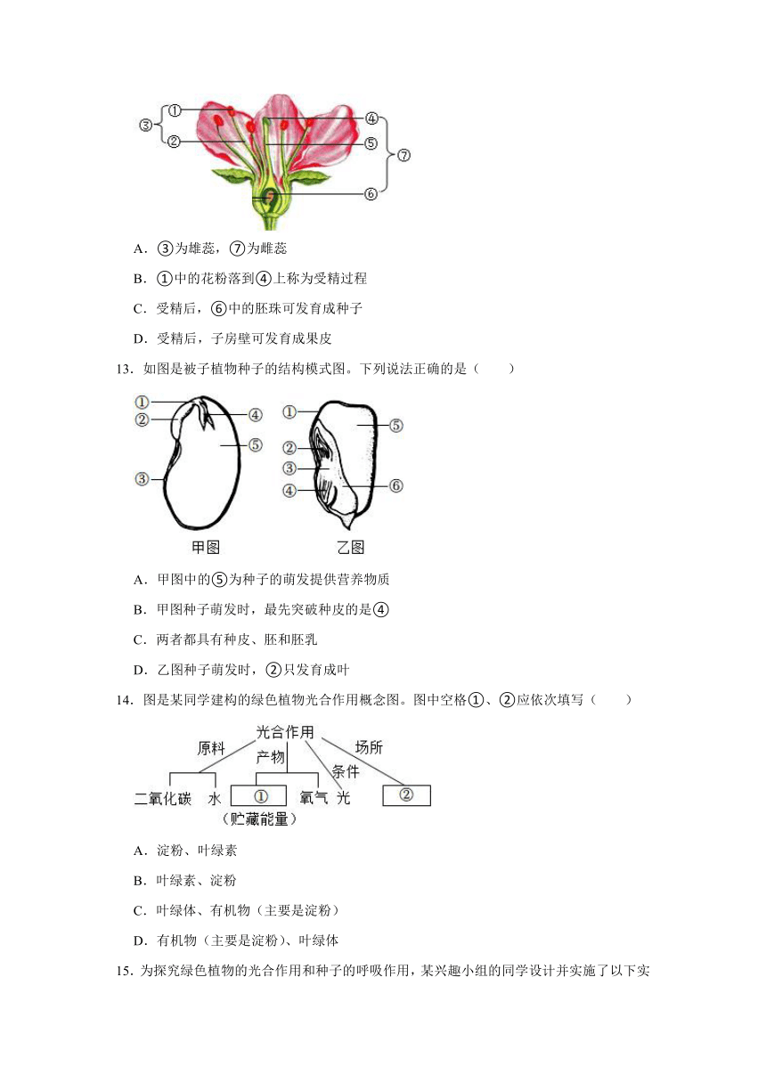 内蒙古呼伦贝尔市海拉尔区2023-2024学年七年级上学期期末生物试卷（含解析）