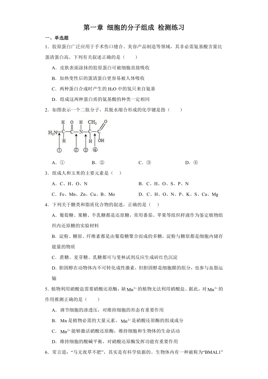 第一章 细胞的分子组成 检测练习（有解析）