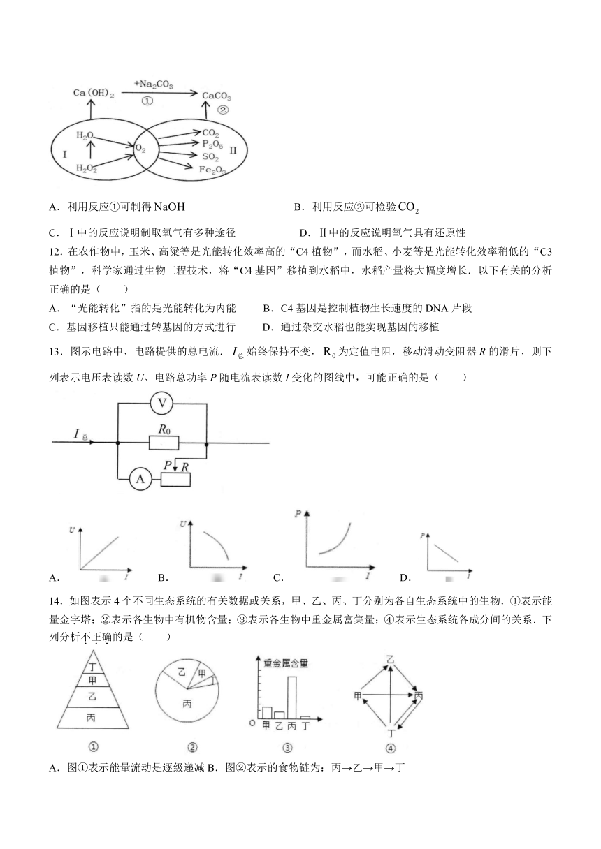 浙江省北京师范大学台州实验学校2023-2024学年九年级上学期期末模拟科学试题（含答案）