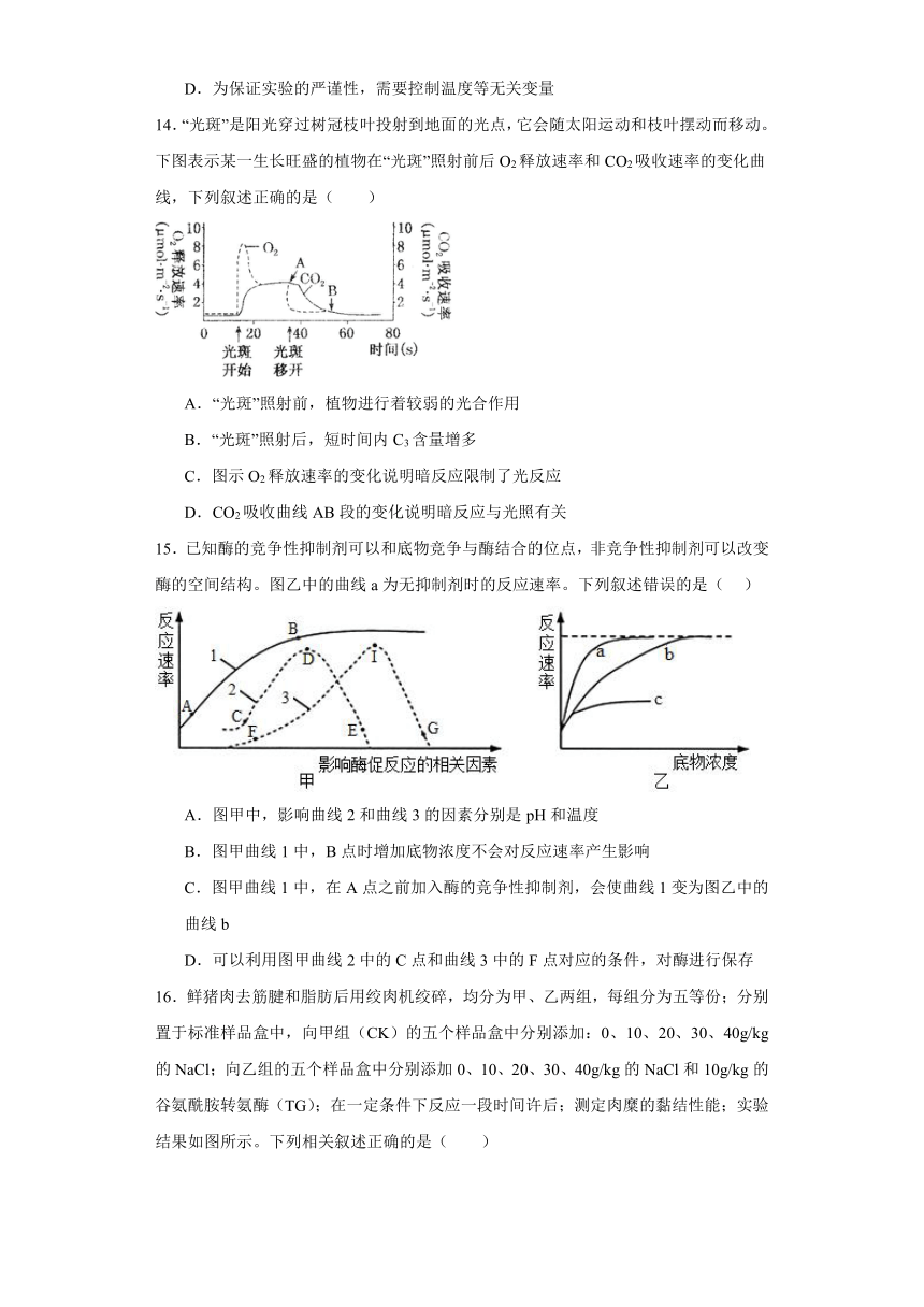 第三章 细胞中能量的转换和利用 检测练习（有解析）