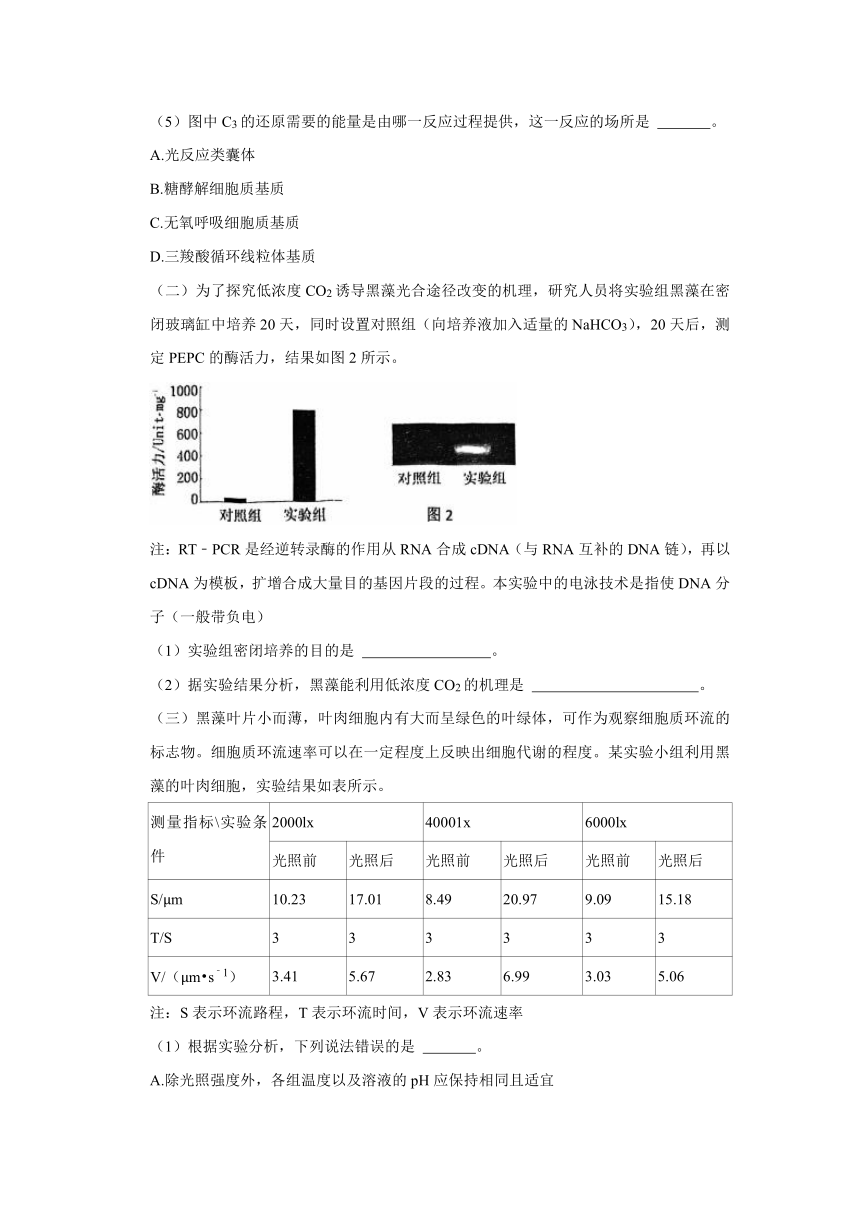 上海市复旦大学附属中学2023-2024学年高二上学期期中考试生物试题（含解析）