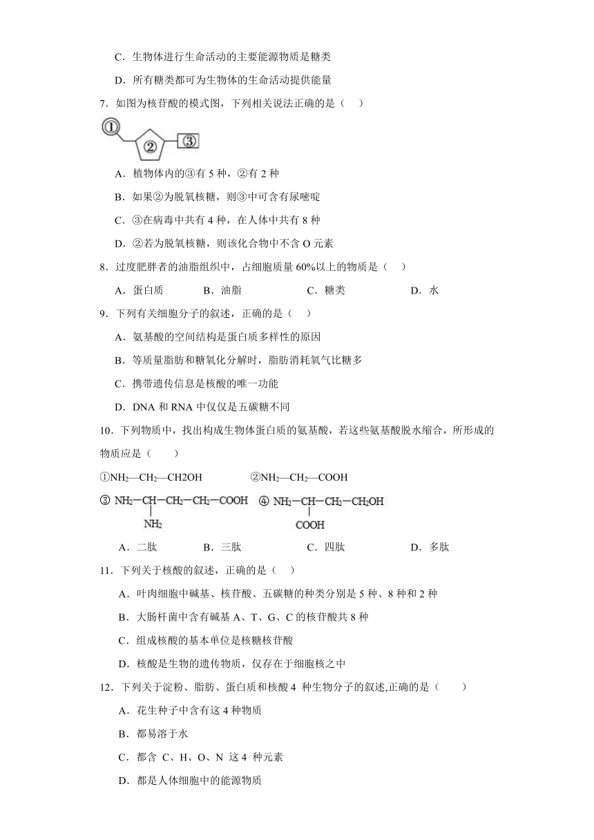 第一章 细胞的分子组成 测试卷(有解析)