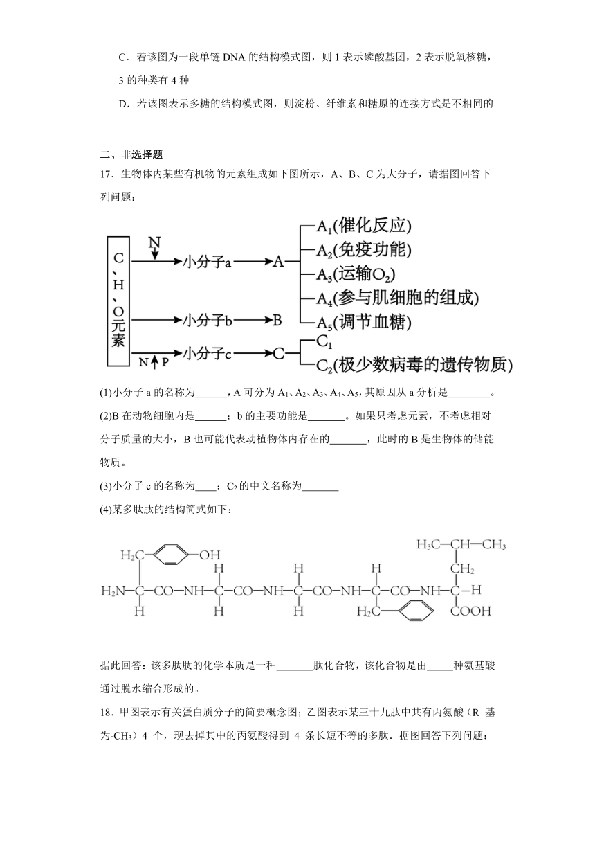 第一章 细胞的分子组成 测试卷(有解析)