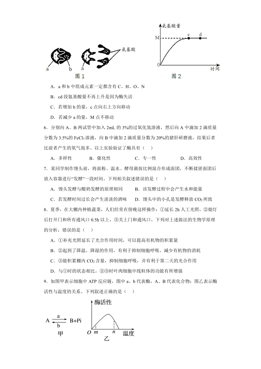 第三章 细胞中能量的转换和利用 检测练习（有解析）