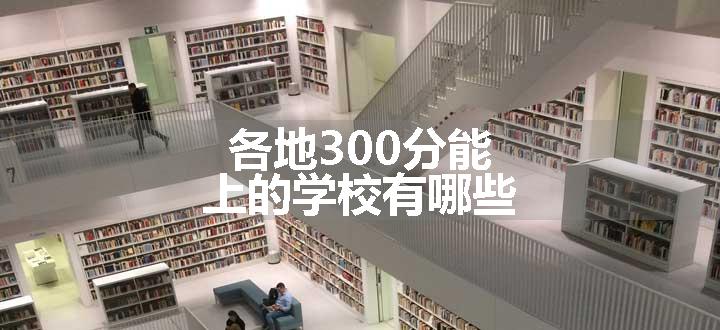 各地300分能上的学校有哪些