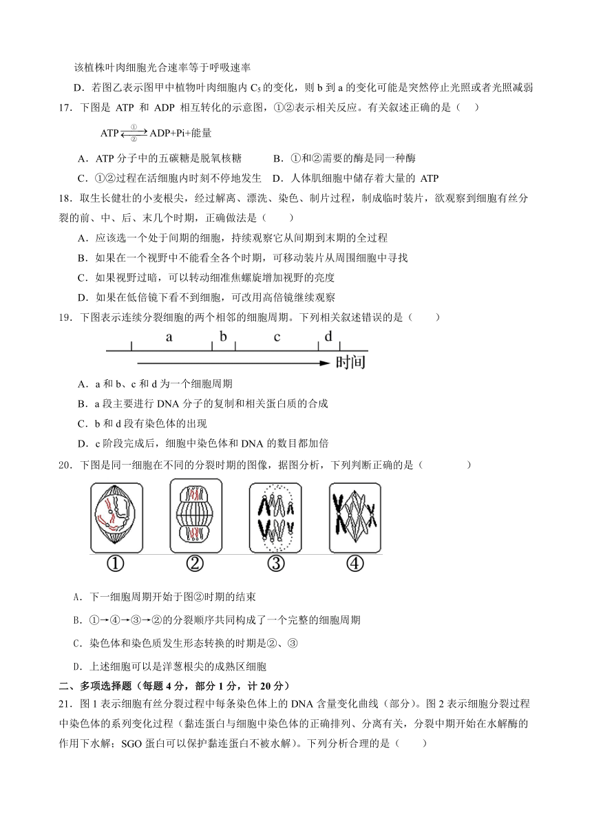 河北省衡水市安平县2023-2024学年高一下学期开学考试生物学试题（含答案）