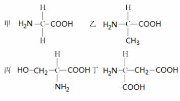 如图是四种构成蛋白质的氨基酸的结构式，下列叙述错误的是（...