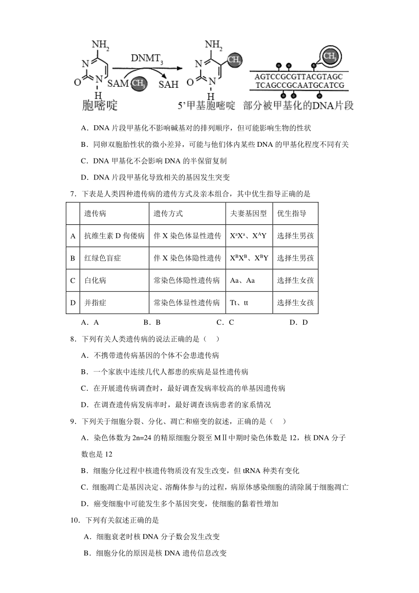 第5章 遗传信息的改变 单元测试2023-2024学年高中生物学北师大版（2019）必修2（解析版）