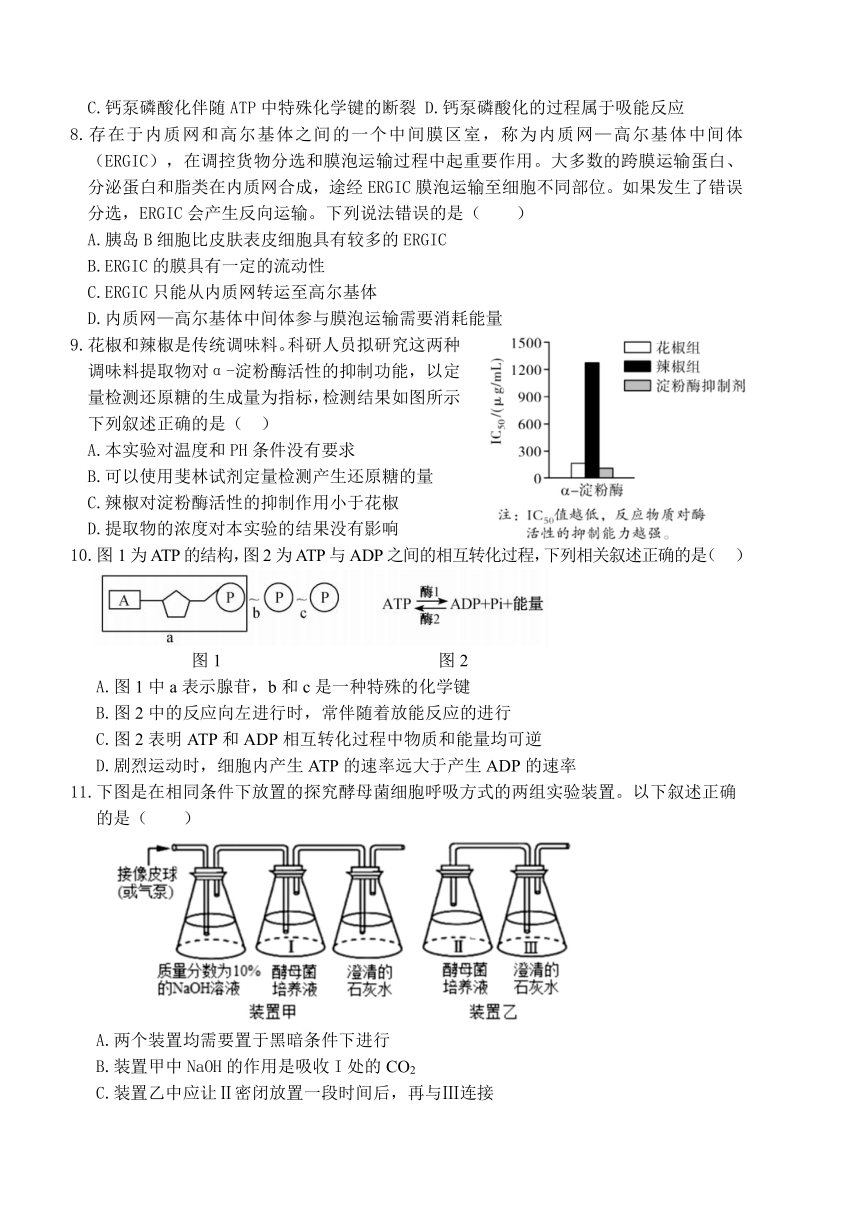 山东省枣庄市薛城区2023-2024学年高一上学期1月学科素养诊断（期末考试）生物学试题（含答案）