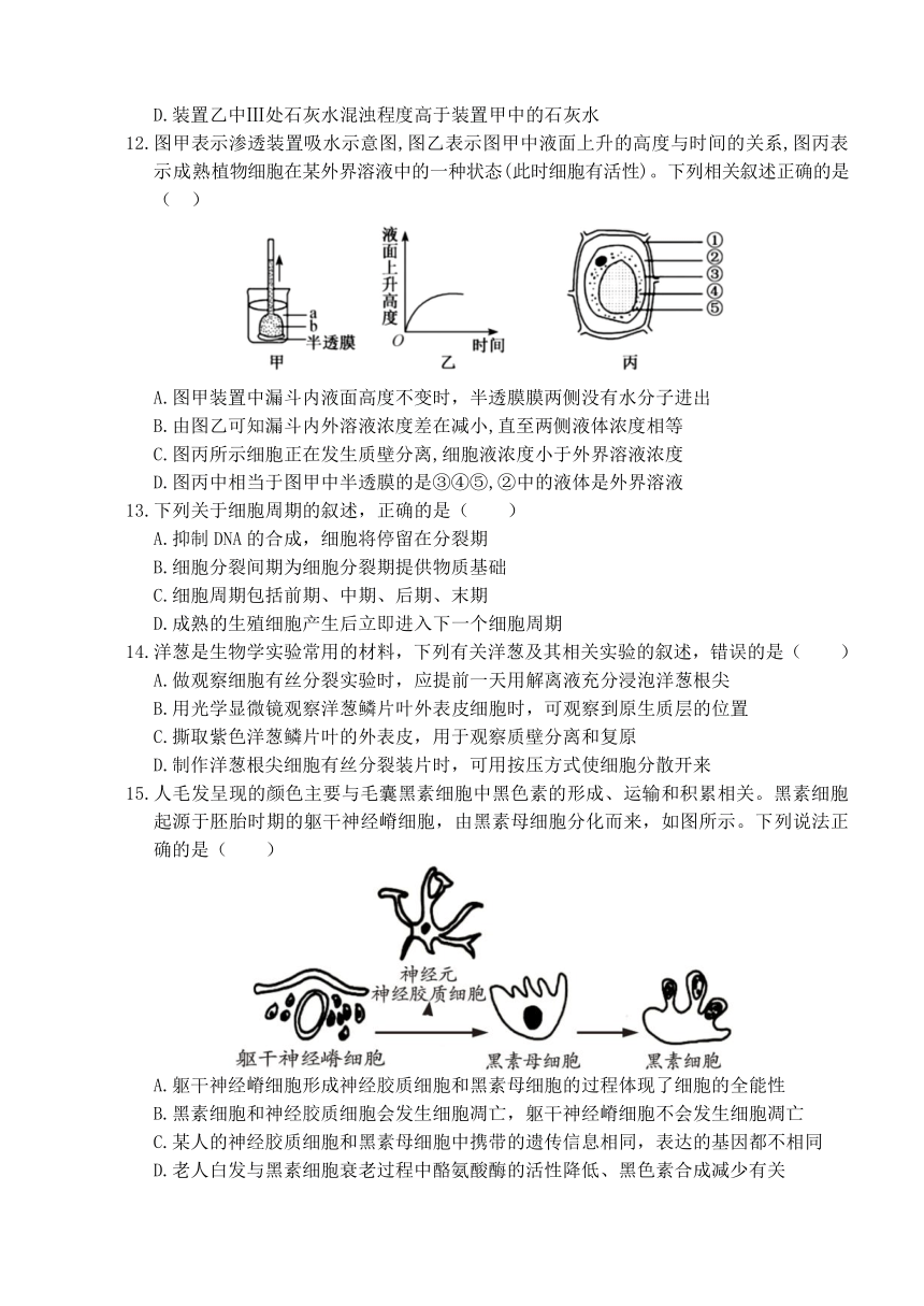 山东省枣庄市薛城区2023-2024学年高一上学期1月学科素养诊断（期末考试）生物学试题（含答案）