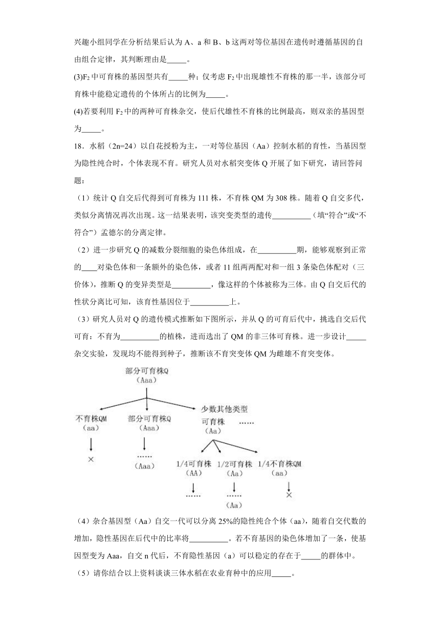 第4章 遗传信息传递的规律 单元测试2023-2024学年高中生物学北师大版（2019）必修2（解析版）