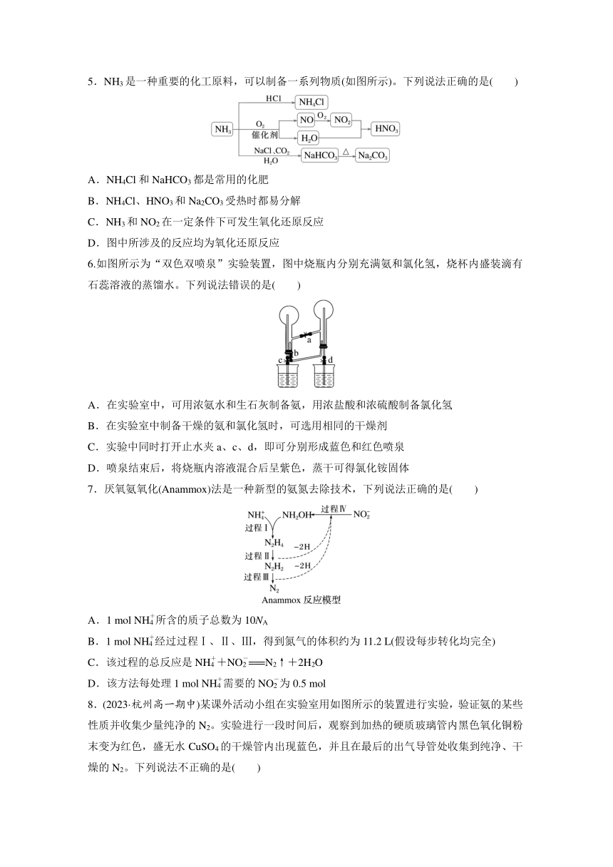 第五章 化工生产中的重要非金属元素 阶段重点突破练(二)（含答案）—2024春高中化学人教版必修二