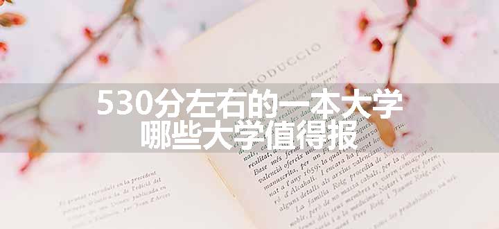 530分左右的一本大学 哪些大学值得报