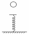  如图所示，一个小球自由下落到将弹簧压缩到最短后开始竖直...