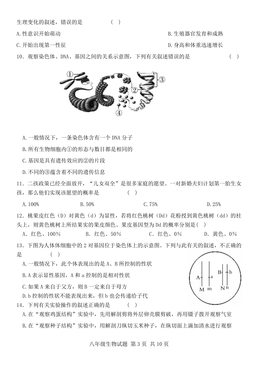 山东省济宁市兖州区2023-2024学年八年级上学期期末考试生物试题（word版含答案）